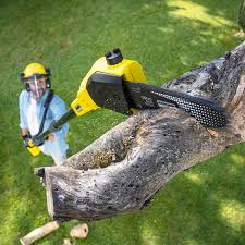 Best Tree Health Inspection  in Oakdale, CA